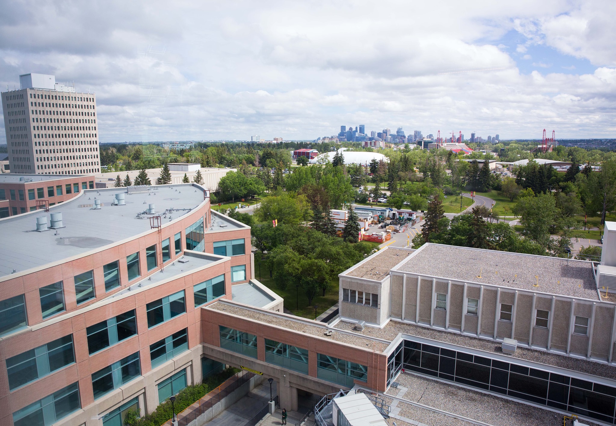 calgary-university